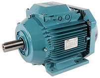 Electric motor