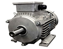 Electric motor